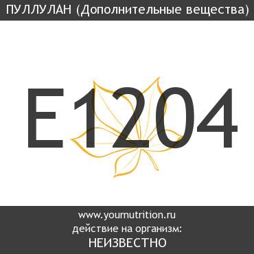 E1204 Пуллулан