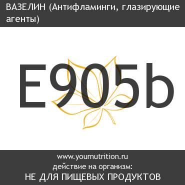 E905b Вазелин