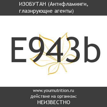 E943b Изобутан