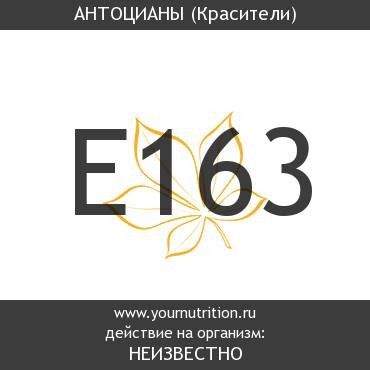 E163 Антоцианы E163 Антоцианы