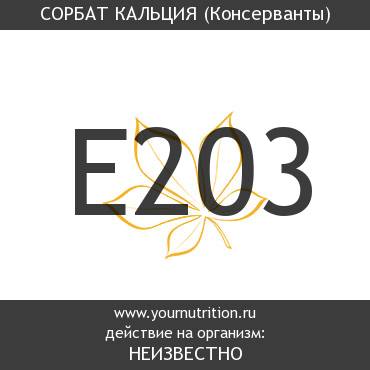 E203 Сорбат кальция