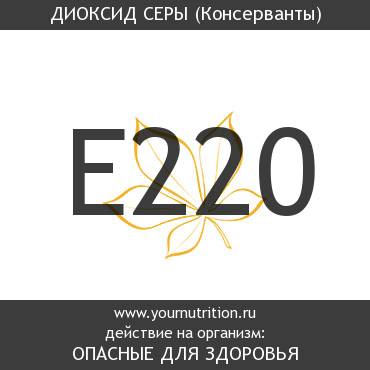 E220 Диоксид серы E220 Диоксид серы