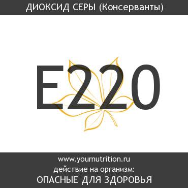 E220 Диоксид серы