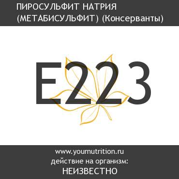 E223 Пиросульфит натрия (метабисульфит) E223 Пиросульфит натрия (метабисульфит)