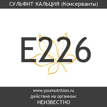 E226 Сульфит кальция E226 Сульфит кальция