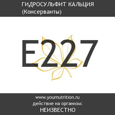 E227 Гидросульфит кальция E227 Гидросульфит кальция