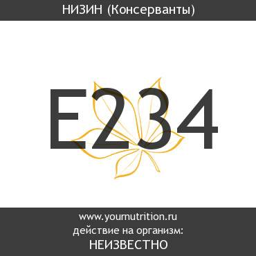 E234 Низин