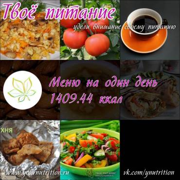 Меню на один день 1409.44 ккал