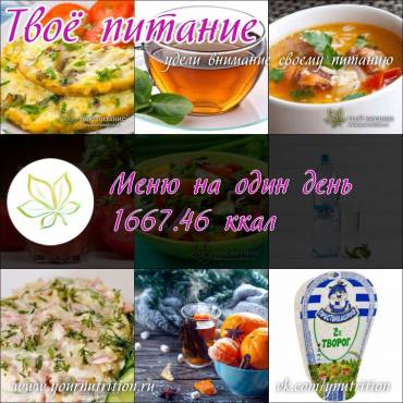 Меню на один день 1667.46 ккал