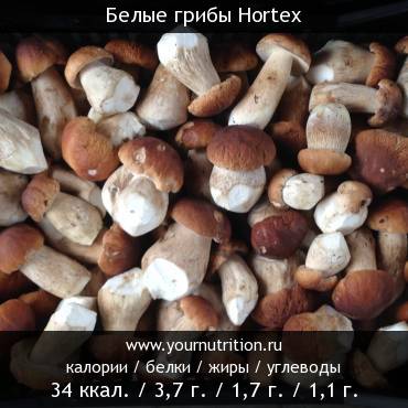 Белые грибы Hortex