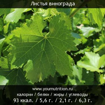 Листья винограда: калорийность и содержание белков, жиров, углеводов