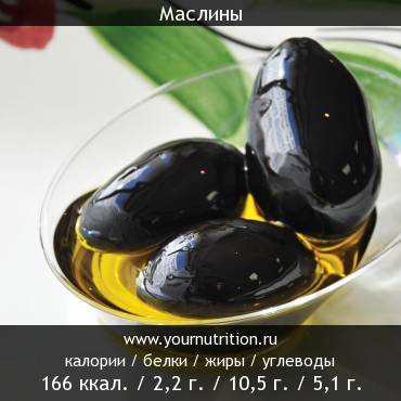 Маслины: калорийность и содержание белков, жиров, углеводов