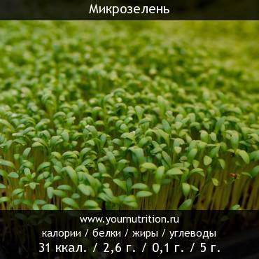 Микрозелень: калорийность и содержание белков, жиров, углеводов