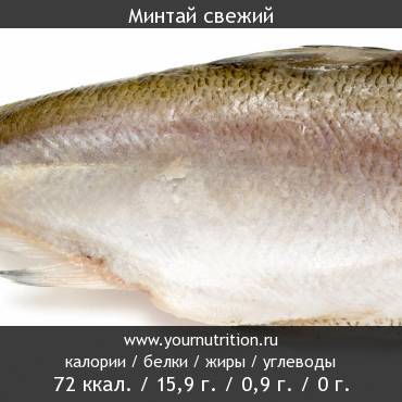 Минтай Свежий Фото Минтай Свежий Фото