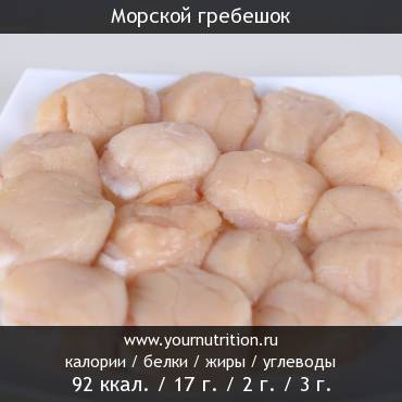 Морской гребешок