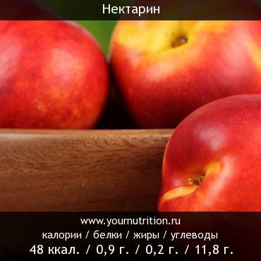 Нектарин: калорийность и содержание белков, жиров, углеводов