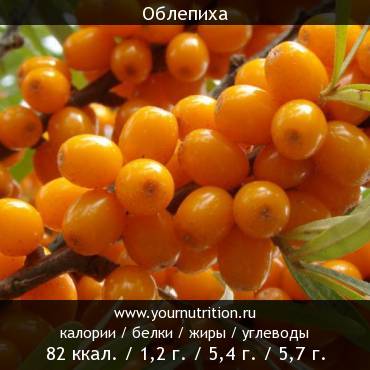 Облепиха: калорийность и содержание белков, жиров, углеводов