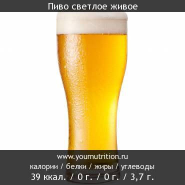Пиво светлое живое: калорийность и содержание белков, жиров, углеводов