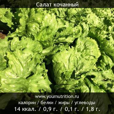 Салат кочанный