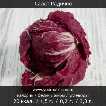 Салат Радичио: калорийность и содержание белков, жиров, углеводов