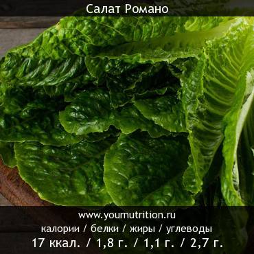 Салат Романо: калорийность и содержание белков, жиров, углеводов