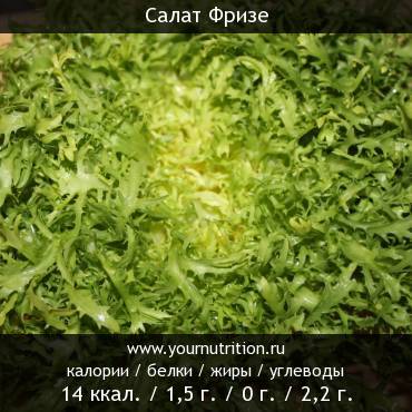 Салат Фризе