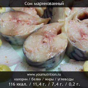 Сом маринованный: калорийность и содержание белков, жиров, углеводов