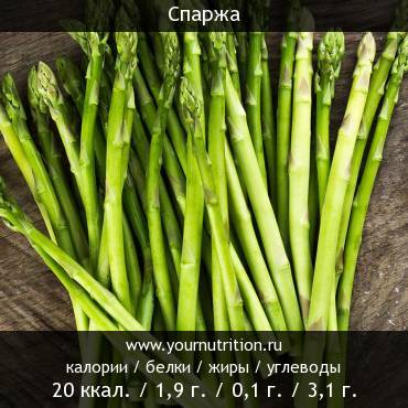 Спаржа: калорийность и содержание белков, жиров, углеводов