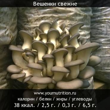 Вешенки свежие