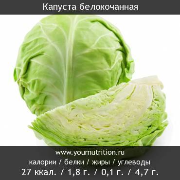 Капуста белокочанная: калорийность и содержание белков, жиров, углеводов