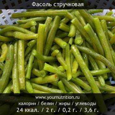 Фасоль стручковая: калорийность и содержание белков, жиров, углеводов Фасоль стручковая: калорийность и содержание белков, жиров, углеводов