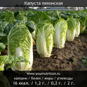 Капуста пекинская