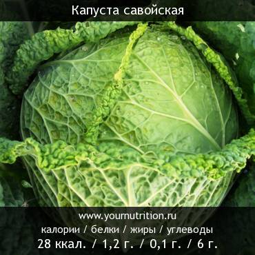 Капуста савойская