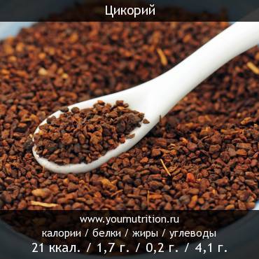 Цикорий: калорийность и содержание белков, жиров, углеводов