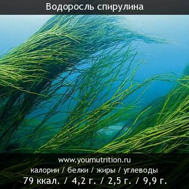 Водоросль спирулина: калорийность и содержание белков, жиров, углеводов