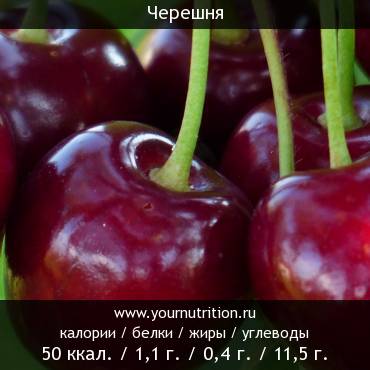 Черешня: калорийность и содержание белков, жиров, углеводов