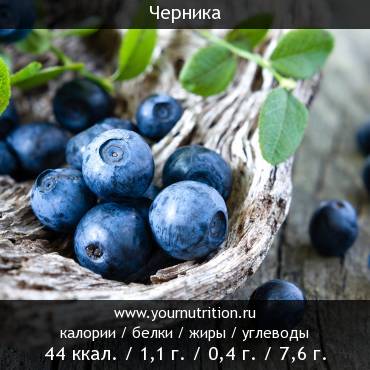 Черника: калорийность и содержание белков, жиров, углеводов