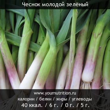 Чеснок молодой зелёный: калорийность и содержание белков, жиров, углеводов