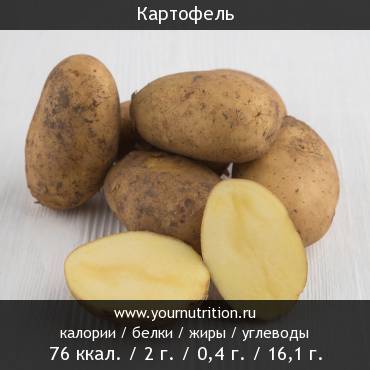 Картофель: калорийность и содержание белков, жиров, углеводов