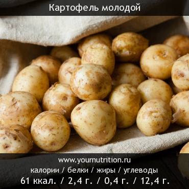 Картофель молодой