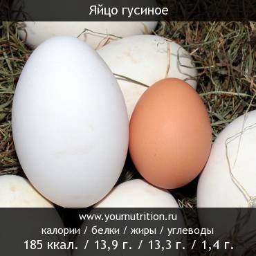 Яйцо гусиное: калорийность и содержание белков, жиров, углеводов