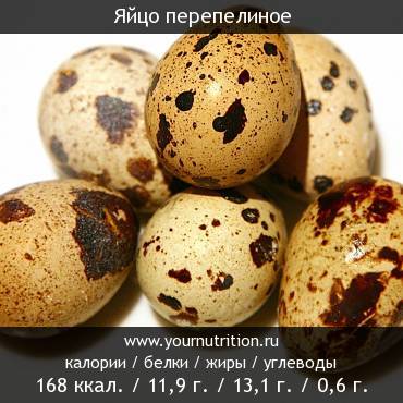 Яйцо перепелиное: калорийность и содержание белков, жиров, углеводов