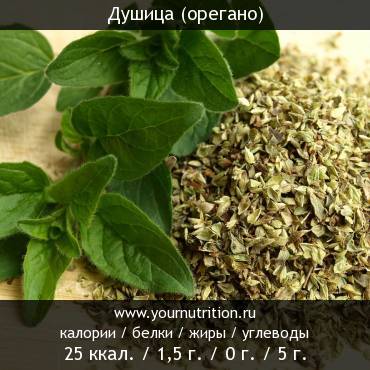 Душица (орегано)