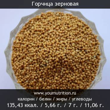 Горчица зерновая: калорийность и содержание белков, жиров, углеводов