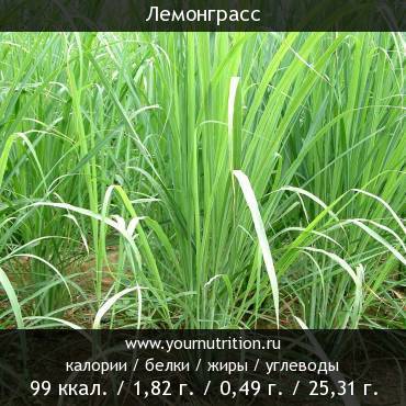 Лемонграсс: калорийность и содержание белков, жиров, углеводов