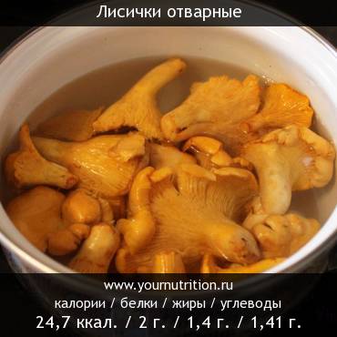 Лисички отварные