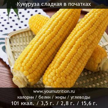 Кукуруза сладкая в початках