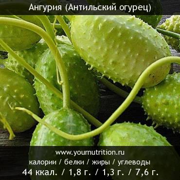 Ангурия (Антильский огурец): калорийность и содержание белков, жиров, углеводов