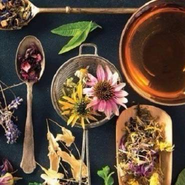 Рецепты травяных чаев для похудения:
